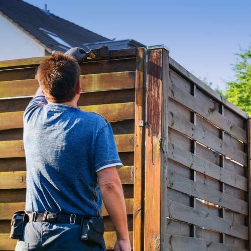 Stain Your Shed